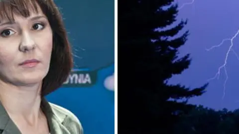 Komórki burzowe są mobilne. To dobrze