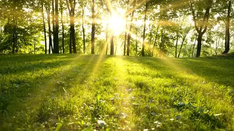 Piątek będzie pogody i ciepły