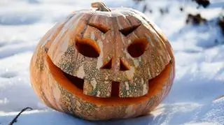 Tegoroczne halloweenowe dynie może przysypać śnieg