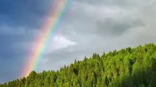 Tęcza jest często podmiotem utworów literackich i dzieł sztuki