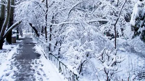 Śnieżyć będzie na krańcach wschodnich