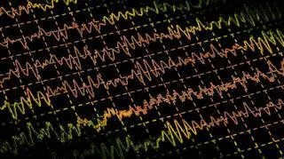 Trzęsienie ziemi było o sile 7,6 w skali Richtera