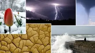 2011 zapisze się w historii jako rok anomalii pogodowych