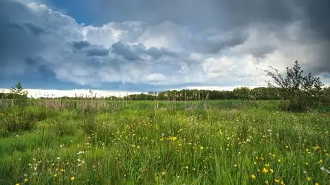 Prognoza pogody na dziś: burze w wielu regionach
