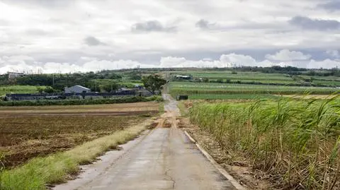 Porywisty wiatr wraca. 90 km/h na Wybrzeżu