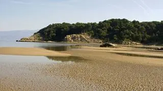 Brzegi plaż mogą kryć niebezpieczne niespodzianki