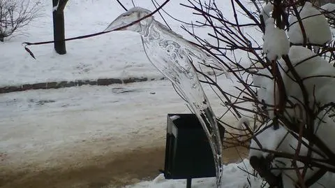 Zdjęcie wykonane pod jednym z bloków w Radomiu
