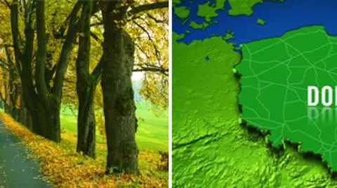 W ciągu dnia się rozpogodzi