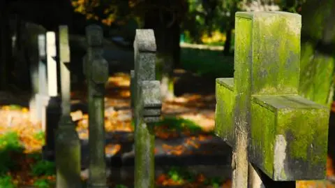 We Wszystkich Świętych pogodnie, ale wietrznie
