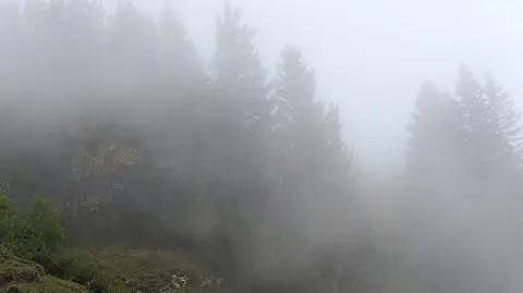Mogą pojawić się mgły