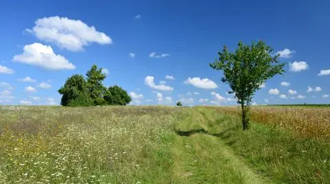 Nad Polską niebo będzie bezchmurne