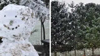 Na Suwalszczyźnie w środę można było lepić bałwana