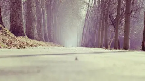 Dobre warunki na drogach