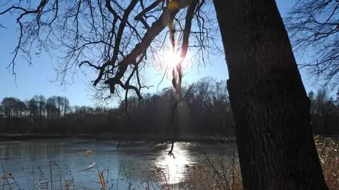 Pogoda na dziś: płynie do nas ciepło z południa