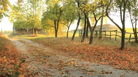 W wielu regionach będzie słonecznie