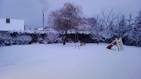 Aktualnie czytasz: Zima zawitała na dobre. Relacje Reporterów 24