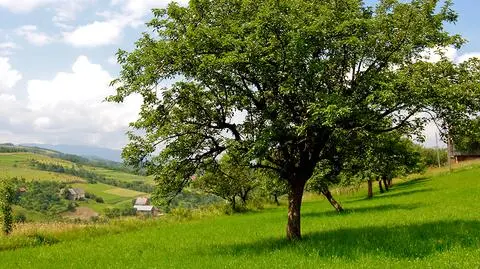 Do większości kraju przyjdą rozpogodzenia