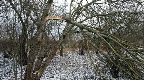 Prognoza pogody na dziś: porywy o prędkości do 70 km/h, zanikające opady