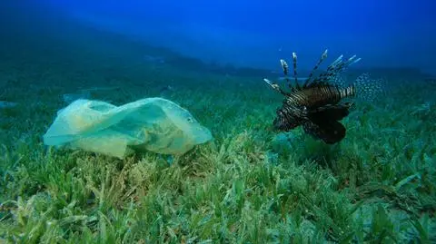 Naukowcy znaleźli znacznie mniej dryfujących po oceanie śmieci, niż przypuszczali