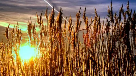 Koniec deszczowego lata. Od soboty słońce