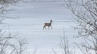 Na suwalskich jeziorach lód 
