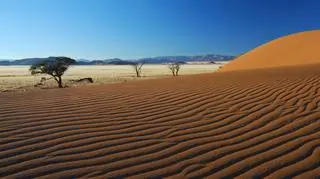 Namibia to najbardziej suchy kraj Afryki subsaharyjskiej