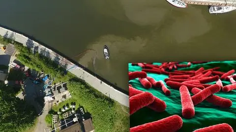 Wraz ze ściekami do wody trafiają bakterie