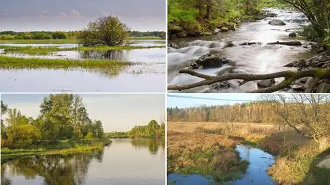 Wieprzówka, Wiśniówka - którą wybierasz?