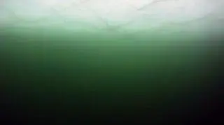 Morze  Arktyczne zmienia kolor