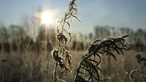 W piątek mróz, ale nie zabraknie rozpogodzeń