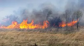 Wypalanie traw rodzi poważne zagrożenie