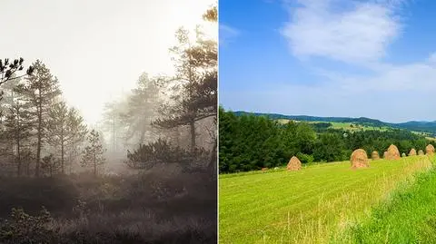Od mrozów po rekordowe upały. Wrzesień to miesiąc pogodowych kontrastów