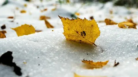 Miejscami spadnie pierwszy śnieg