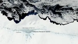 Widok na Mawson Coast