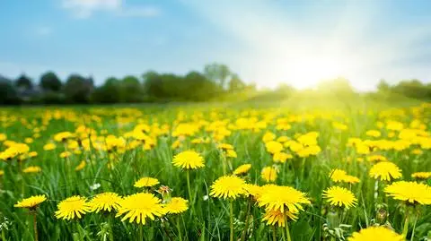 W większości kraju na niebie zobaczymy słońce