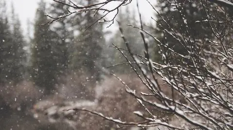 Miejscami spadnie śnieg