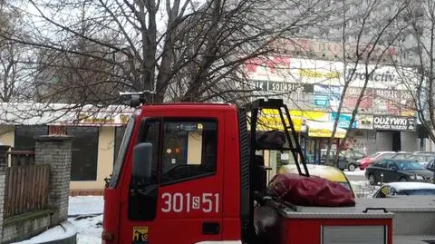 Dzielni Strażacy uratowali kota w centrum Katowic.