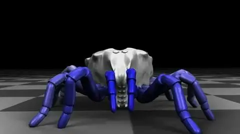 Przodek współczesnego pająka to Trigonotarbid arachnid