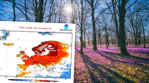 Marzec według prognoz ma być cieplejszy niż zwykle