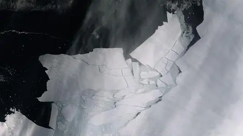 Ocielił się lodowiec Pine Island