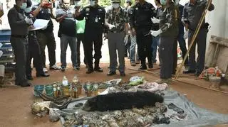 Ciała zwierząt znalezione w buddyjskiej świątyni