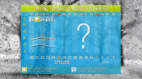 Prognoza na 16 dni: okruchy zimy pod koniec stycznia