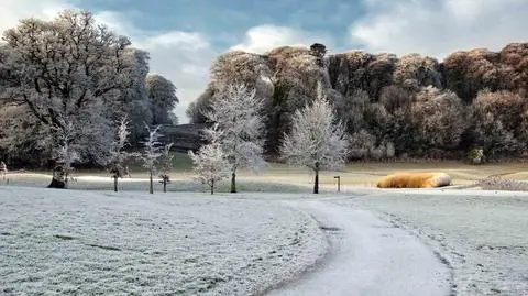 Niż zmienia pogodę. Idą wiatr i śnieg