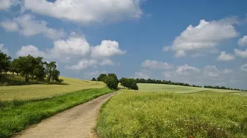 W wielu miejscach będzie pogodnie