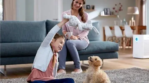 Czy oczyszczacz powietrza naprawdę łagodzi objawy alergii?