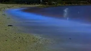 Świecące fale na plaży Malabar w Sydney