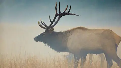 "Coś potwornie ryczało". Synoptyk przeżyła chwile grozy