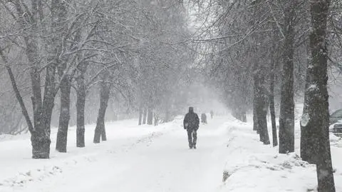 Miejscami posypie śnieg