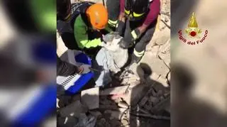 Kot przeżył trzęsienie ziemi w Amatrice