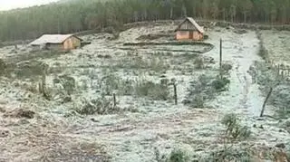 Temperatura w Brazylii była ponizej zera